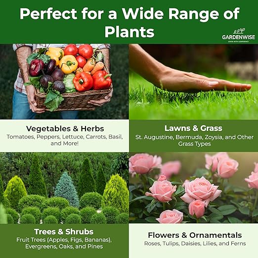 Gardenwise 13-13-13 Slow Release Granular Fertilizer – All Purpose Plant Food 13 13 13 for Outdoor Grass, Vegetables, Roses, Flowers, Shrubs, Trees. Lawns, Gardens, Potted Plants (1/2 Quart)