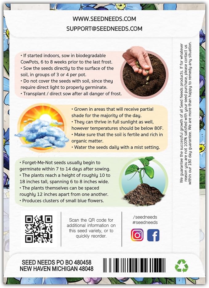 Seed Needs Blue Forget Me Not Seeds for Planting Myosotis Flowers - Heirloom & Open Pollinated Wildflowers to Plant an Outdoor Butterfly Garden to Attract Pollinators (2 Packs)