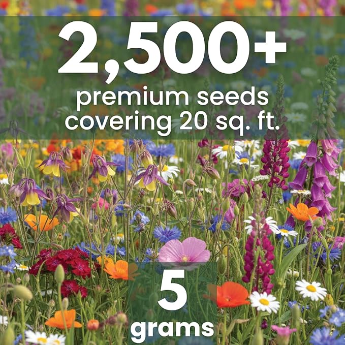 Shade Tolerant Mix – 2,500 Wildflower Seeds for Pollinator Gardens – 2026 Season – 5-Gram Pouch