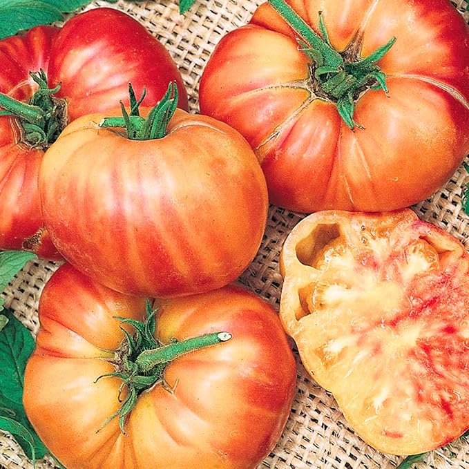 30 Rainbow Beefsteak Tomato Seeds for Planting, Tomato Vegetable Seeds to Grow Indoor Outdoor