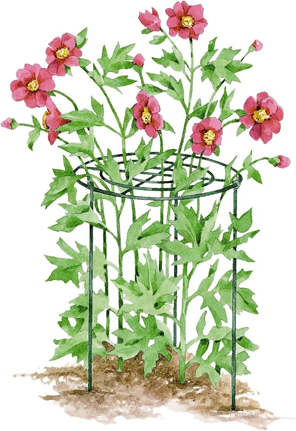 Gardener's Supply Company Grow Through Plant Support | Sturdy Metal Plants Support Frame for Peonies and Other Flopping Flowers | 30" H X 24" D (Set of 3) - Large