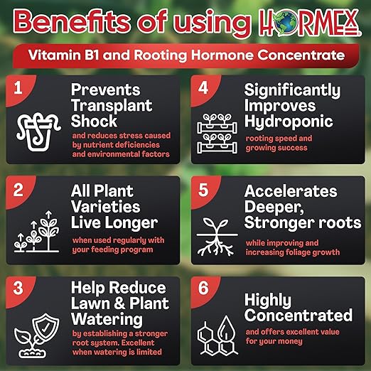 Hormex Rooting Hormone Concentrate with B1 – Root Growth Stimulator for Stronger, Thriving Plants - Prevents Transplant Shock - Hydroponics, Houseplants, Gardens, Trees, Fruits and Vegetables - 4oz