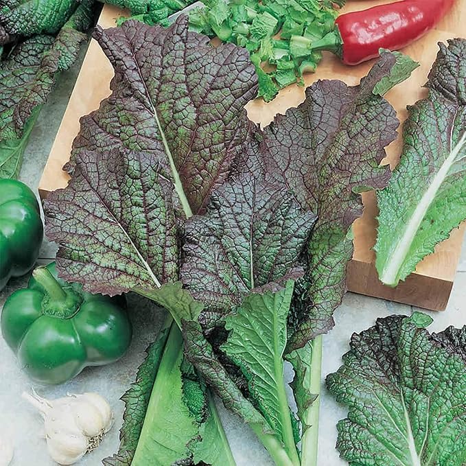 Organic Red Giant Mustard Seed 2 g ~1,000 Seeds - Non-GMO, Heirloom, Organic, Open Pollinated, Vegetable, Herb Gardening & Micro Greens Seeds