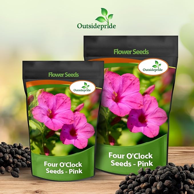 Outsidepride Pink Four O'clock Flower Seeds - 1 lb Perennial Fragrant, Trumpet-Shaped Blooms, Deer-Proof & Easy to Grow, for Pollinator & Evening Gardens, Containers, Hedges, or Borders