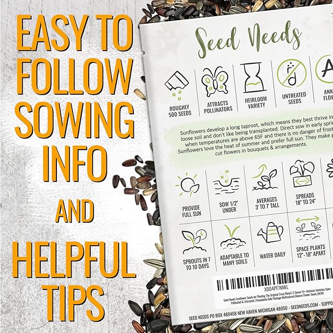 Seed Needs Sunflower Seeds to Plant The Original Crazy Blend | 500+ Heirloom Seeds 15+ Varieties Open Pollinated & Untreated | Resealable Bulk Package Multicolored Blooms Flower Seed