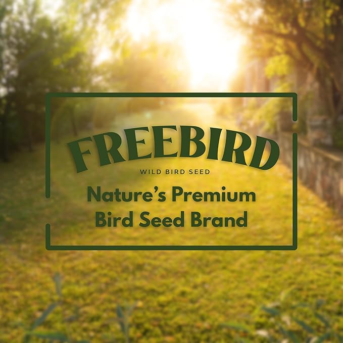 Wild Bird Seed by Freebird – Premium Black Oil Sunflower, Sunflower Kernels & Safflower Blend for Songbirds & Finches, Outdoor Feeders, 6 lb Bag