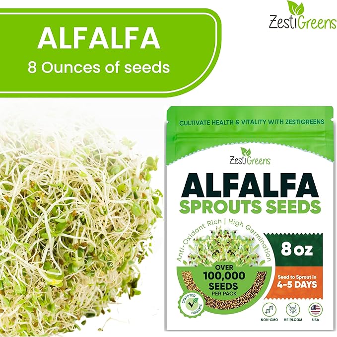 Premium USA Alfalfa Seeds for Sprouting & Microgreens with High Germination Rate. (8oz)