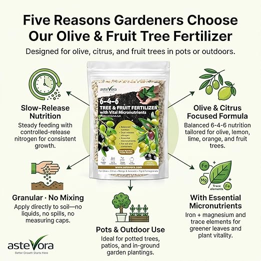 Olive Tree Fertilizer – Fruit Tree Fertilizer for Olive Tree, Citrus, Lemon, Lime, Fig, Avocado, Mango, Apple & Pomegranate – for Potted & Outdoor Trees (5 quarts - 10 lbs.)