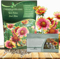 Outsidepride Gaillardia Pulchella Red Indian Blanket Seeds for Planting - 1 lb Annual Flower Seeds, Heat & Drought Tolerant for Xeriscaping, Borders, & Small Garden Spaces
