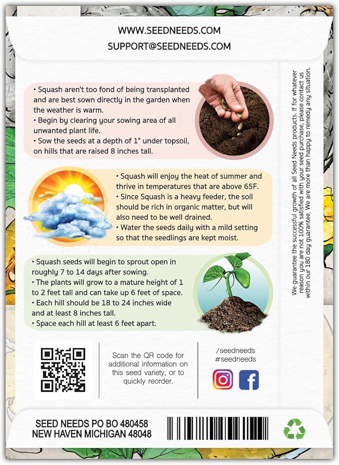 Seed Needs Blue Hubbard Winter Squash Seeds for Planting - Non-GMO, Heirloom & Untreated - Golden Yellow Sweet Flesh Perfect for Baking & Cooking (5 Packs)