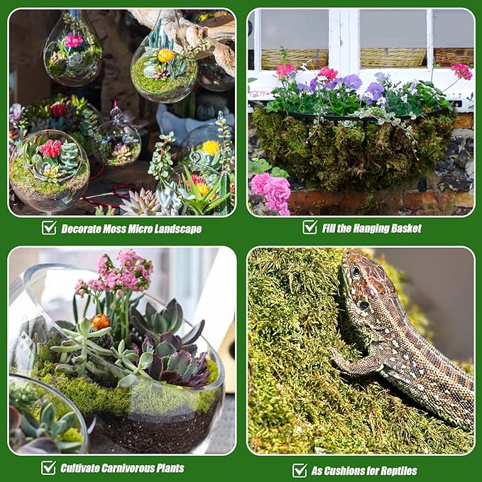 Dried Forest Moss for Plants (10 qt / 2 pcs), Sphagnum Potting Moss for Various Plants, Including Orchids, Carnivorous Plants, Succulents, Garden Flowers, and Reptiles