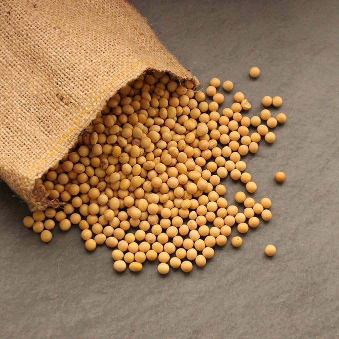 Soybean Seeds - 30 g Packet ~175 Seeds - Organic, Non-GMO - Sprouting Sprouts, Tofu, Food Storage, Crop & Vegetable Garden