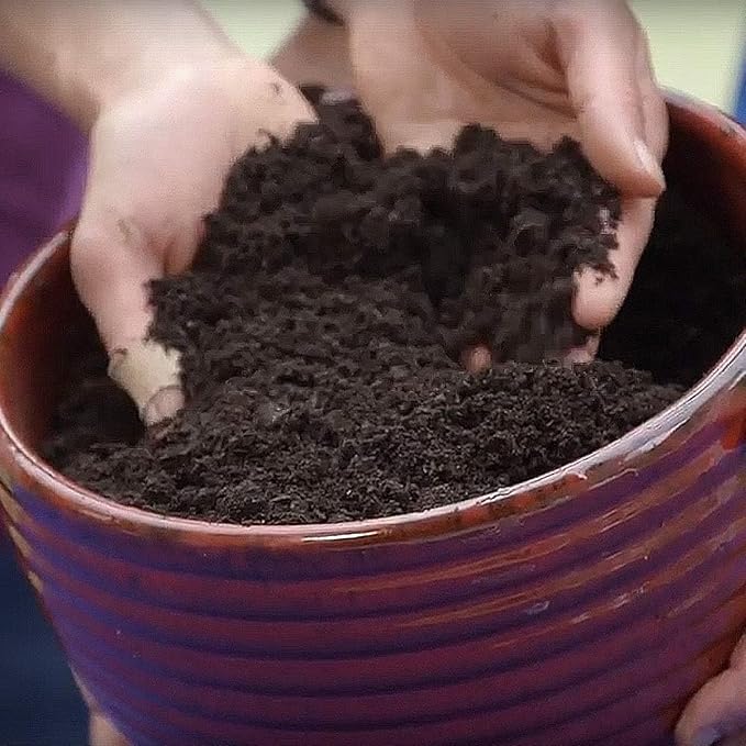 Coast of Maine Organic & Natural Castine Blend Soil - Nutrient-Rich Garden Soil w/Mycorrhizae, Biochar - Enhanced Drainage & Aeration - for Raised Bed Gardening & Container Gardening (2 cu ft)