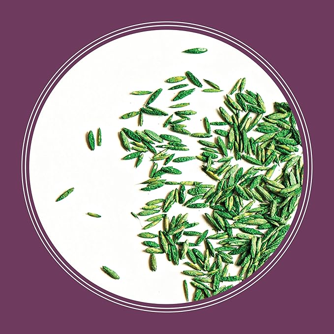 Pennington The Rebels Tall Fescue Shady Grass Seed Mix 3 lb