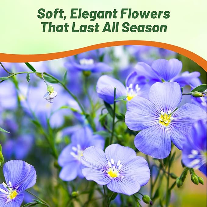 Outsidepride Blue Flax Seeds - 5 lbs Perennial Flower Seeds for Planting, Self-Seeding, Drought-Tolerant w/Compact Growth, Ideal for Small Gardens, Meadows, Borders, or Mass Plantings