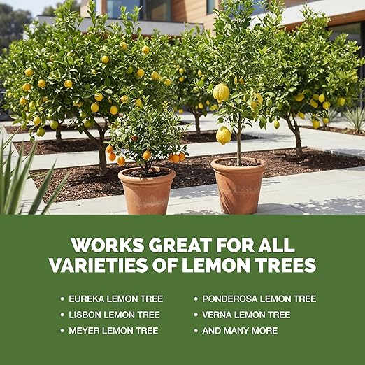 Lemon Tree Fertilizer – Liquid Plant Food for More Fruit, Better Flowering & Stronger Root Development, 8 oz