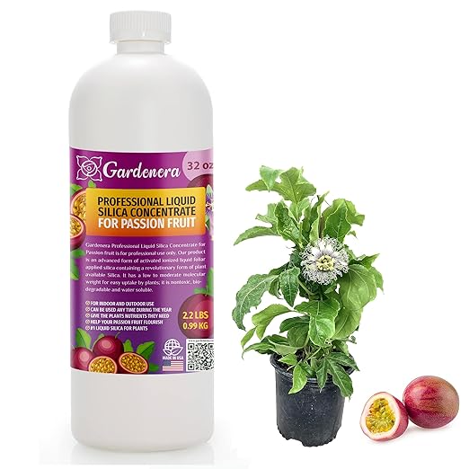 𝐏𝐑𝐎𝐅𝐄𝐒𝐒𝐈𝐎𝐍𝐀𝐋 Liquid Silica Plant Supplement - 32oz - Passion Fruit Plants Liquid Silica Boost Fertilizer - Stronger Stems & Healthy Leaves for Indoor & Outdoor Plants (Makes 180 Gallons)
