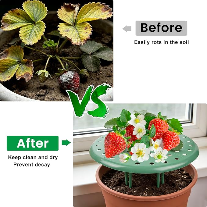 ChezMax 6 Pack Strawberry Plant Support - Strawberry Support Holder for Garden, Strawberrys Trellis Stand with 48 Legs, Planting Live Plants or Seeds, Plant Pot Stand Protection
