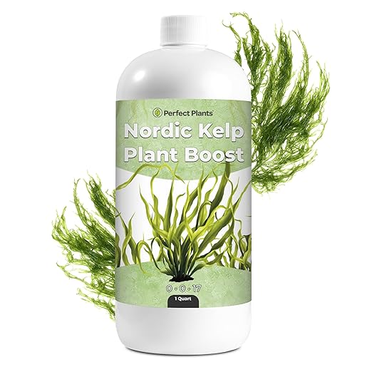 Nordic Kelp Boost Liquid - Perfect Plants (1 Quart)