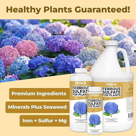 Ferrous Sulfate for Plants – Liquid Iron Supplement for Greener Leaves, Improved Chlorophyll Production & Reduced Yellowing, 1 Gallon