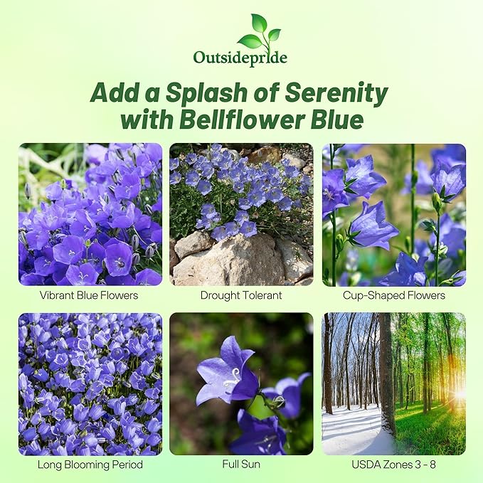 Outsidepride Carpatica Blue Bellflower Seeds for Planting - 5000 Pcs Perennial Mat-Forming Flower Seeds with Bell Shaped Blooms & Low Growth Habit for Edging Pollinator Gardens, Containers, & Borders