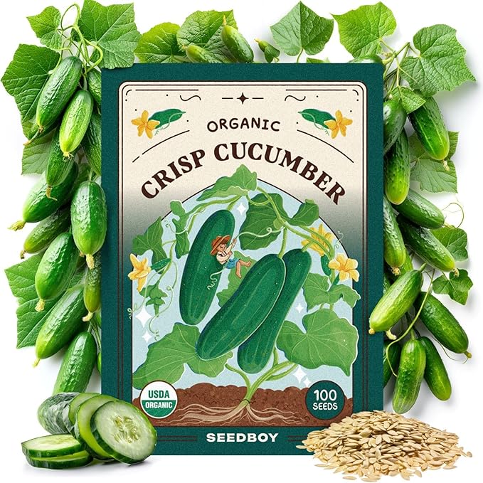 Seedboy Organic Cucumber Seeds for Planting Indoor and Outdoor, Non-GMO and USDA Certified Vegetable Seed Packet for Hydroponic Garden Indoor or Planting Outdoors (Marketmore Cucumber)