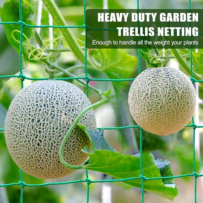 Garden Trellis Netting - Heavy Duty Trellis Net for Climbing Plants, Plant Netting for Cucumber, Tomato, 27 Strands Nylon & 4x4 Inch Mesh, Grow Netting for Fruits, Vegetables, Grape, Bean(6.6x32.8 FT)