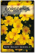 Sow Right Seeds - Dwarf Lance-Leaved Coreopsis Seeds for Planting - Non-GMO Heirloom Perennial Tickseed - Easy-to-Grow Flower for Butterflies & Bees - Sun-Loving Blooms for Gardens and Borders (1)