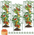 6 Pack Tomato Cage, Square Tomato Cages for Garden, Plant Trellis for Pots, Raised Garden Bed, Plant Support Stakes- 20 Clips Included