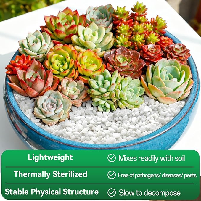 ZeeDix Premium Perlite for Plants, Horticulture Soil Amendment, 3-9mm Granule Size Potted Plant Soil for Orchid Cactus Succulents Carnivorous Monstera Repotting, Indoor Outdoor Gardening, 1QT