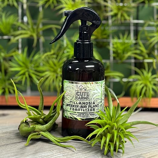 Cute Farms Tillandsia Air Plant Fertilizer | Gentle Weekly Use Formula Plant Food | Formulated Nutrients for Air Plants (Two - 8 oz. Spray Bottle)
