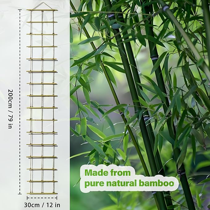 Natural Bamboo Ladder Plant Trellis 79 in L x 12 in D Ideal for Climbing Plants, Providing Reliable Support Suitable for Outdoor Walls, Gardens, patios, and Similar Settings (2)