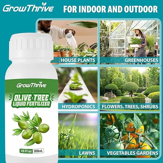 10oz Olive Tree Fertilizer & Nutrient Solution - Organic Microbial Probiotic Plant Food for Green Foliage, Root Growth & Fruit Production