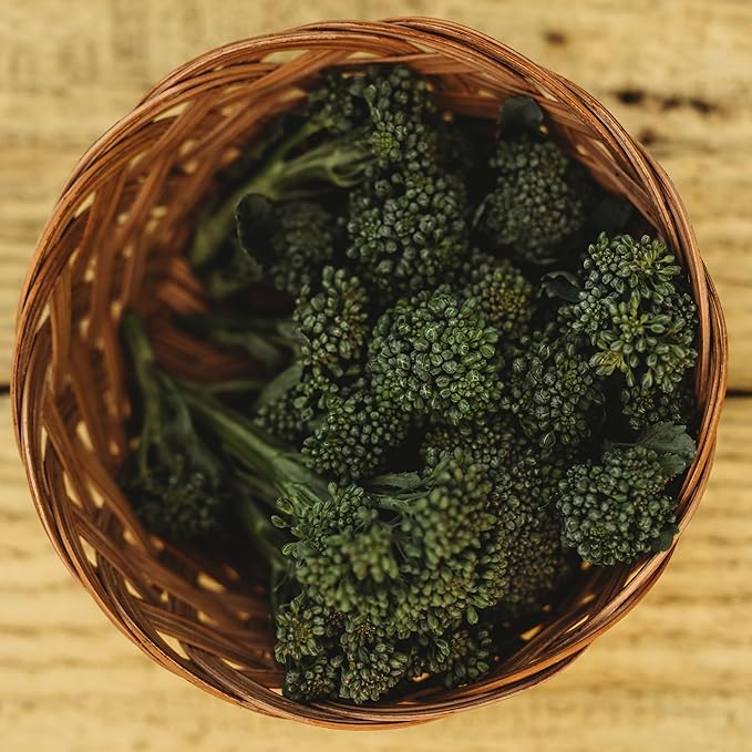 Di Cicco Broccoli (De Cicco)- 100 Seeds - Heirloom & Open-Pollinated Variety, USA-Grown, Non-GMO Vegetable Seeds for Planting Outdoors in The Home Garden, Thresh Seed Company