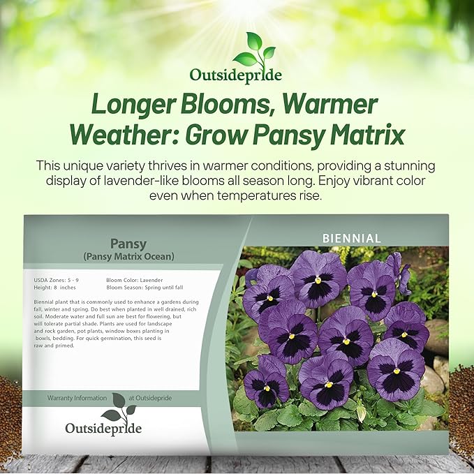 Outsidepride Ocean Pansy Seeds for Planting - 50 Pcs. Biennal, Cold-Hardy & Pollinator Friendly Flowers with Fragrant Blooms for Garden Beds, Borders & Container Displays