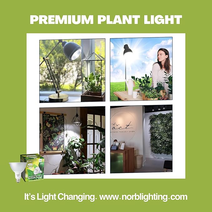 Norb NorbBOTANIC Full Spectrum Grow Light Bulb, Premium PAR38 LED Plant Light, 16W White Light for Indoor Plants, Herbs, Tropical Plants, 15 Degree