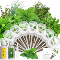 Gourmet Herb Seed Pod Kit Compatible with AeroGarden, idoo, Ahopegarden, Gardencube with Basil, Parsley, Thyme, Mint, Cilantro, Dill, Oregano, Chives - Compatible with All Hydroponics(8-Pod)