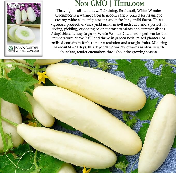 White Wonder Cucumber Seeds – 50+ Heirloom Non-GMO Seeds by Isla’s Garden Seeds, Crisp & Mild Flavor, High-Yield Variety, Perfect for Home Gardens, Easy to Grow, Great for Fresh Eating & Pickling