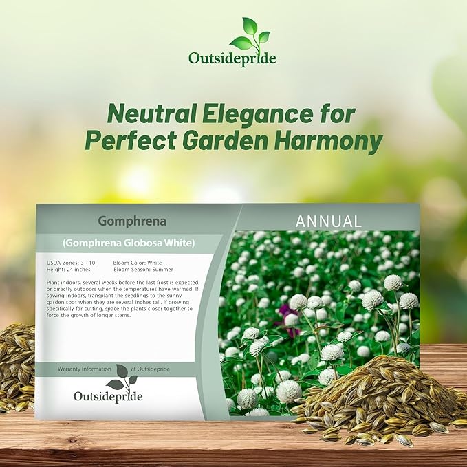 Outsidepride White Gomphrena Seeds - 1000 Pcs Annual, Heat & Drought Tolerant, Pollinator Friendly Globe Amaranth Seeds for Planting w/Vibrant Round Blooms for Beds, Borders, and Arrangements