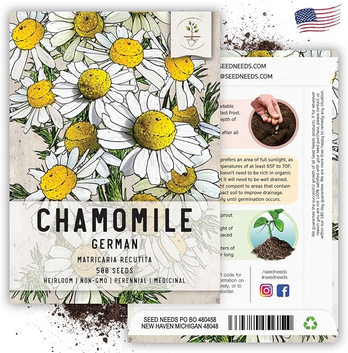 Seed Needs, German Chamomile Seeds - 500 Heirloom Seeds for Planting Matricaria recutita - Medicinal Herb for Indoor/Outdoor Gardens, Non-GMO & Untreated (5 Packs)