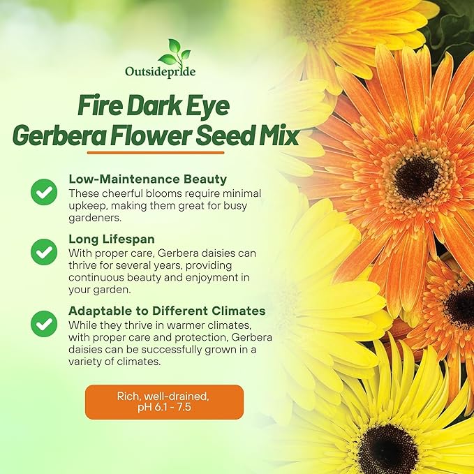 Outsidepride Fire Dark Eye Mix Gerbera Seeds - 20 Pcs Perennial, Compact & Low Maintenance, Flower Seeds for Planting w/Vibrant Mixed Blooms, Ideal for Garden Landscaping & Cut Flower Arrangements