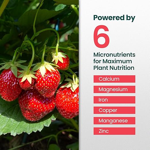 32oz Strawberry Fertilizer - Makes 32 Gallons of Fruit Tree Fertilizer for Strawberries, Liquid Plant Food Outdoor, Ideal Strawberry Plant Food for Lush Growth & Bigger, Sweeter Strawberries