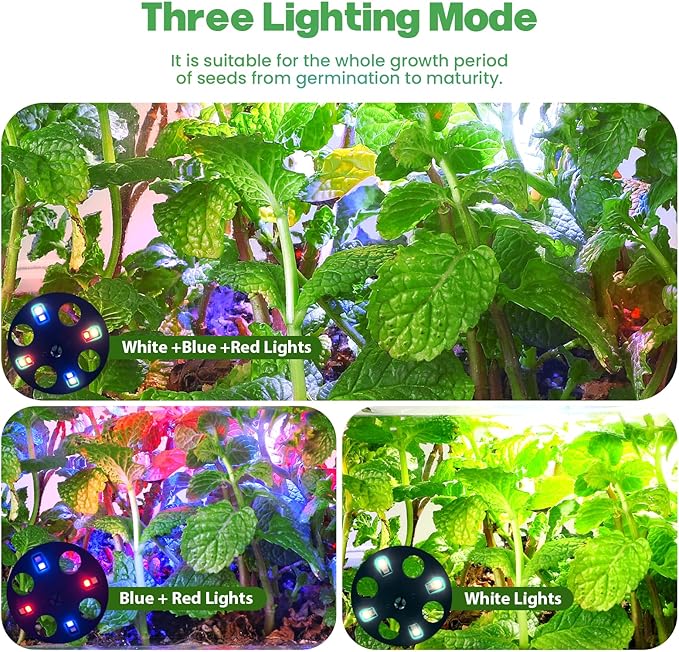 Seed Starter Trays with Grow Lights, 72 Cells Seed Starter Kit with Lights, 4 Timing Set, Germination Kit for Seed Starting Trays, Seedling Starter with High Humidity Control Domes (White, 6PCS)