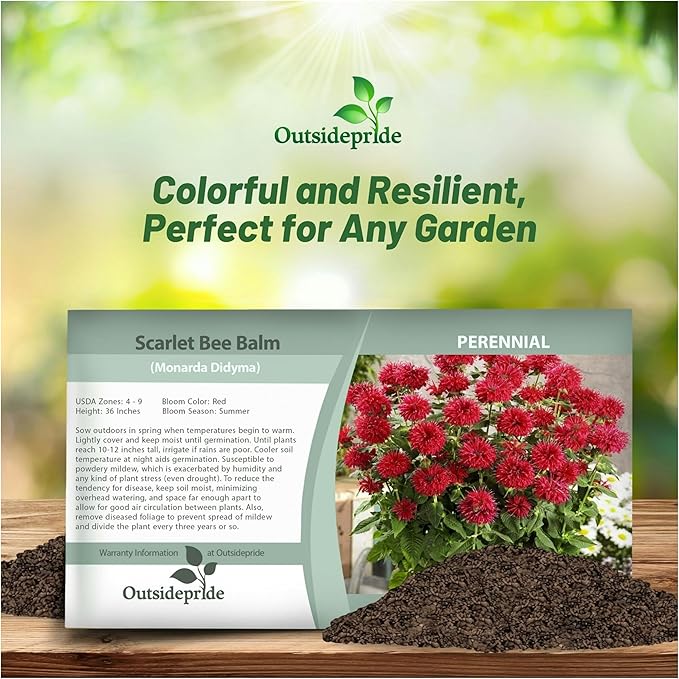 Outsidepride Scarlet Bee Balm Seeds - 500 Pcs Perennial, Easy to Grow & Pollinator Friendly Monarda Didyma Flower Seeds for Planting Mint Scented Leaves & Edible Blooms, Ideal for Teas & Potpourri
