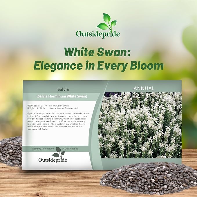 Outsidepride White Swan Salvia Seeds - 1,000 Pcs Annual, Compact, Heavy Blooming & Drought-Tolerant Sage Seeds for Planting Fragrant White Blooms for Butterfly & Hummingbird Gardens & Landscaping