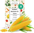 Woods Creek Seeds: Golden Bantam 12 Sweet Corn Seeds for Planting - Heirloom Sweet Corn Seed with Tender Yellow Kernels - Non-GMO, Open-Pollinated, Seed Pack for Field and Home Gardening