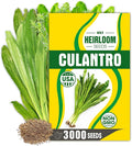 Premium Culantro Seeds – 3,000+ Non-GMO Heirloom Seeds - High-Yield, Authentic Flavor & Easy Growing
