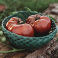 Black Krim Heirloom Purple Slicing Tomato - 50 Seeds - Heirloom & Open-Pollinated Variety, Non-GMO Vegetable Seeds for Planting in The Home Garden, Thresh Seed Company