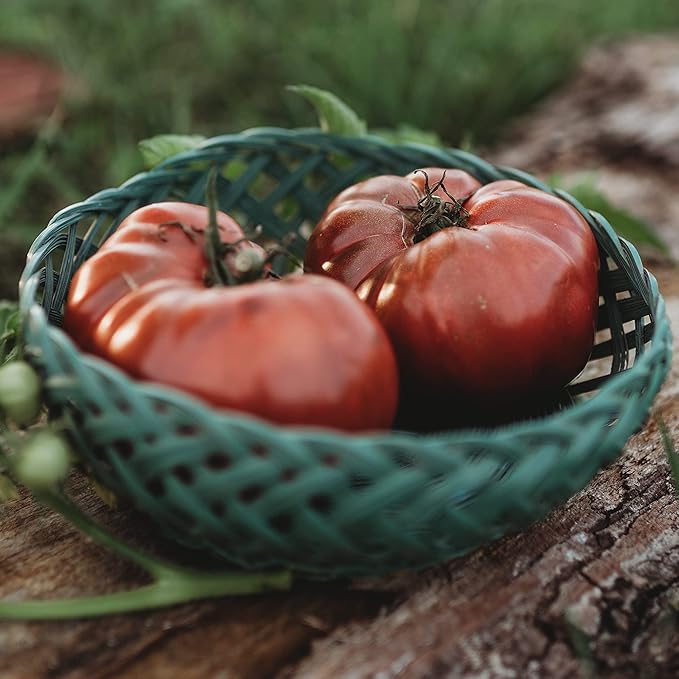 Black Krim Heirloom Purple Slicing Tomato - 50 Seeds - Heirloom & Open-Pollinated Variety, Non-GMO Vegetable Seeds for Planting in The Home Garden, Thresh Seed Company