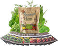 12 Culinary Herb Seeds Assortment - Non-GMO Herb Garden Starter Set - Grow Cooking Herbs: Parsley, Thyme, Cilantro, Basil, Dill, Oregano, Sage & More